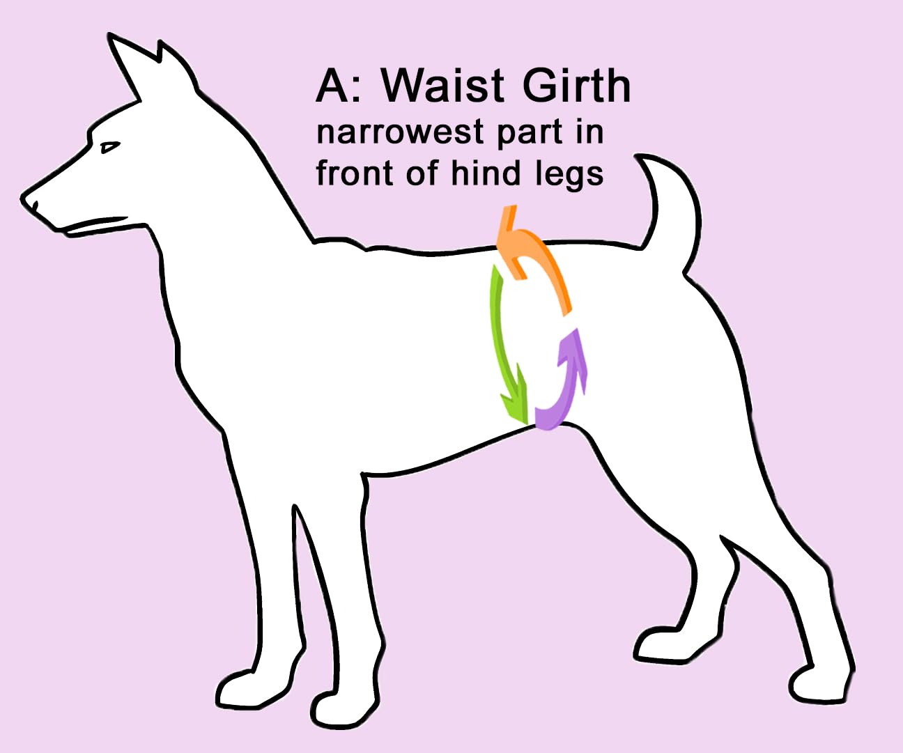 Glenndarcy Dog Season Nappy pannolino cane femmina Patchwork