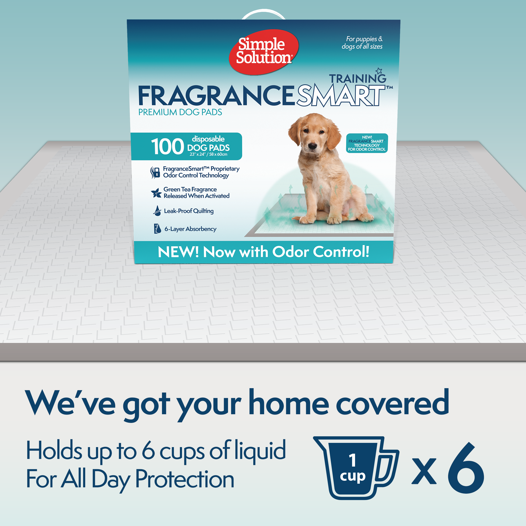 Simple Solution Disposable Pads All Day traversina cani assorbente