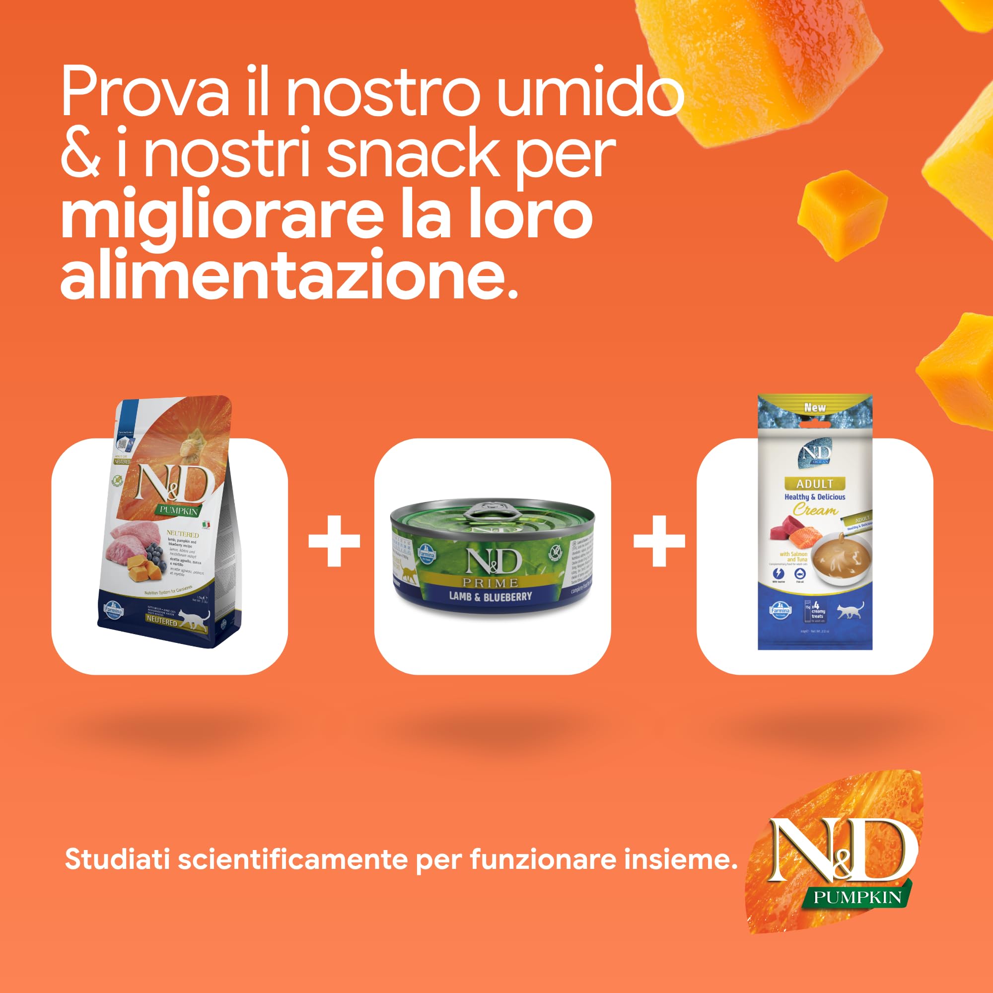 Farmina N&D Pumpkin Agnello Mirtillo crocchette gatto 1,5kg
