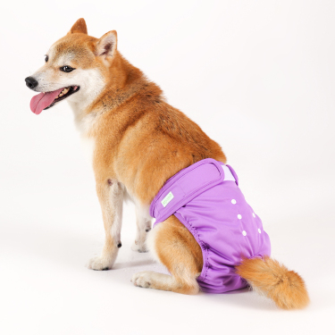 Wegreeco Dog Diapers pannolini cane femmina lavabili 3 pezzi