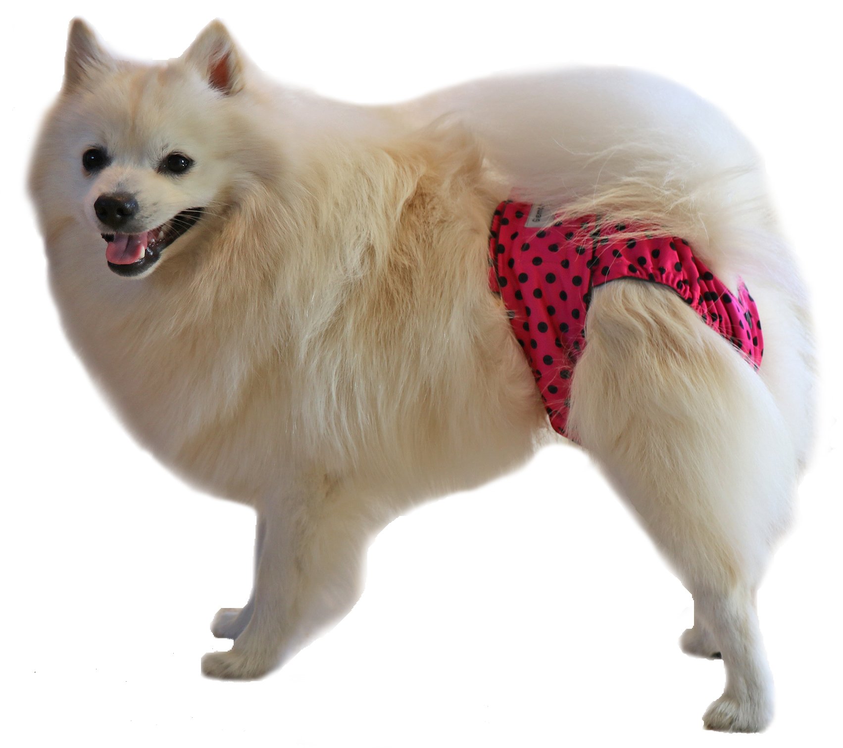 Glenndarcy Dog Season Nappy Mutandine Cane M Lavabili 2 Pezzi