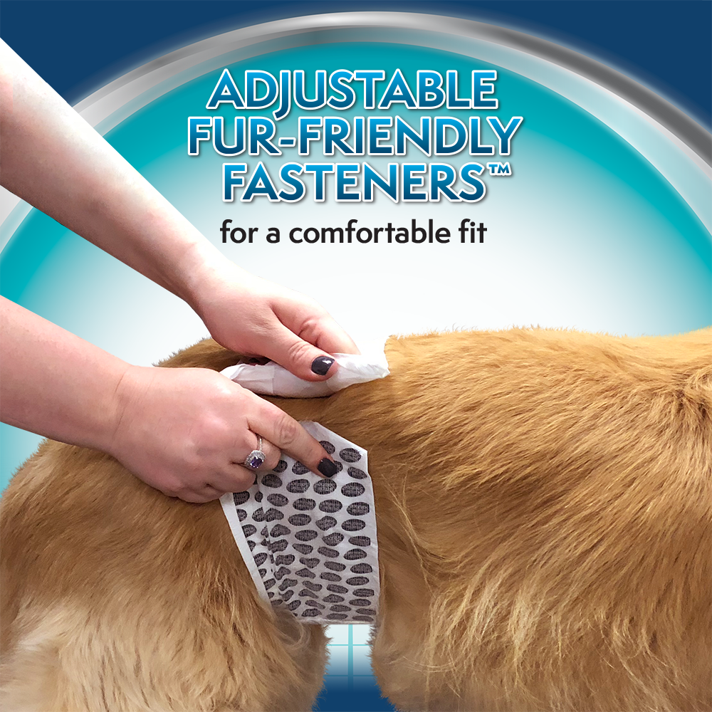 Simple Solution Diapers Wraps fascia maschio cane assorbente