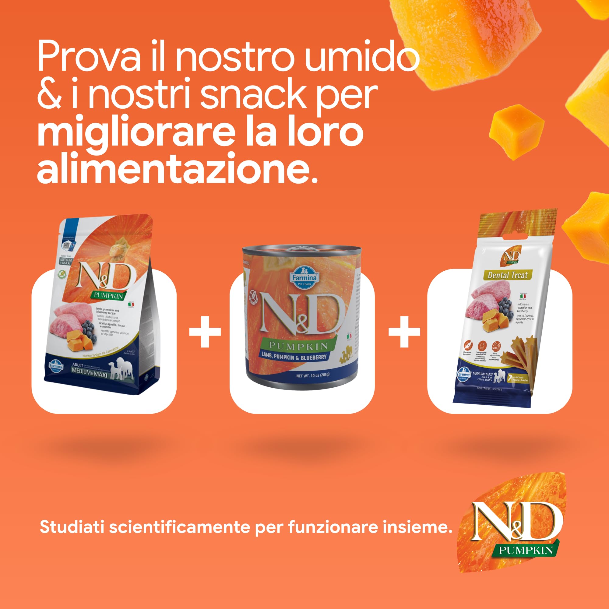 Farmina N&D Pumpkin Agnello Zucca Mirtilli Crocchette Adult Medium/Maxi 12kg