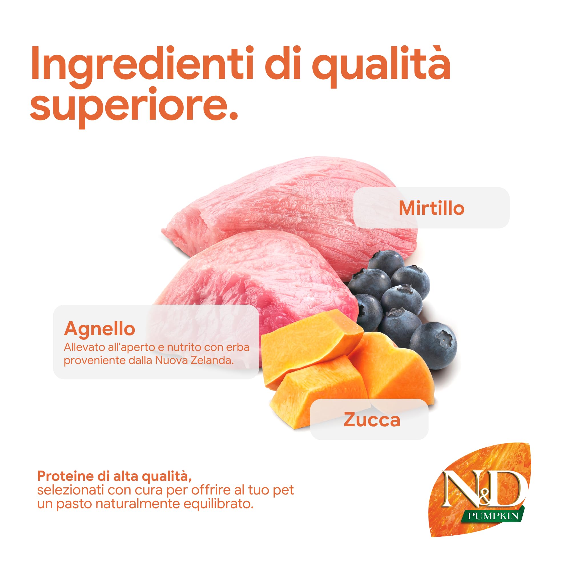 Farmina N&D Pumpkin Agnello Mirtillo crocchette gatto 1,5kg