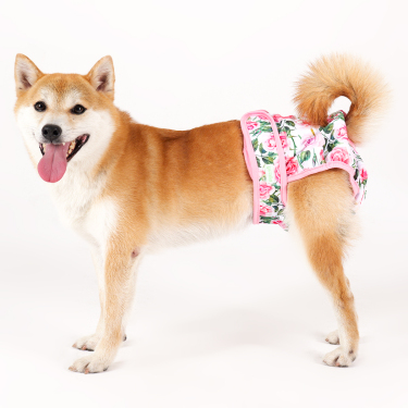 Wegreeco Dog Diapers pannolini cane femmina lavabili 3 pezzi