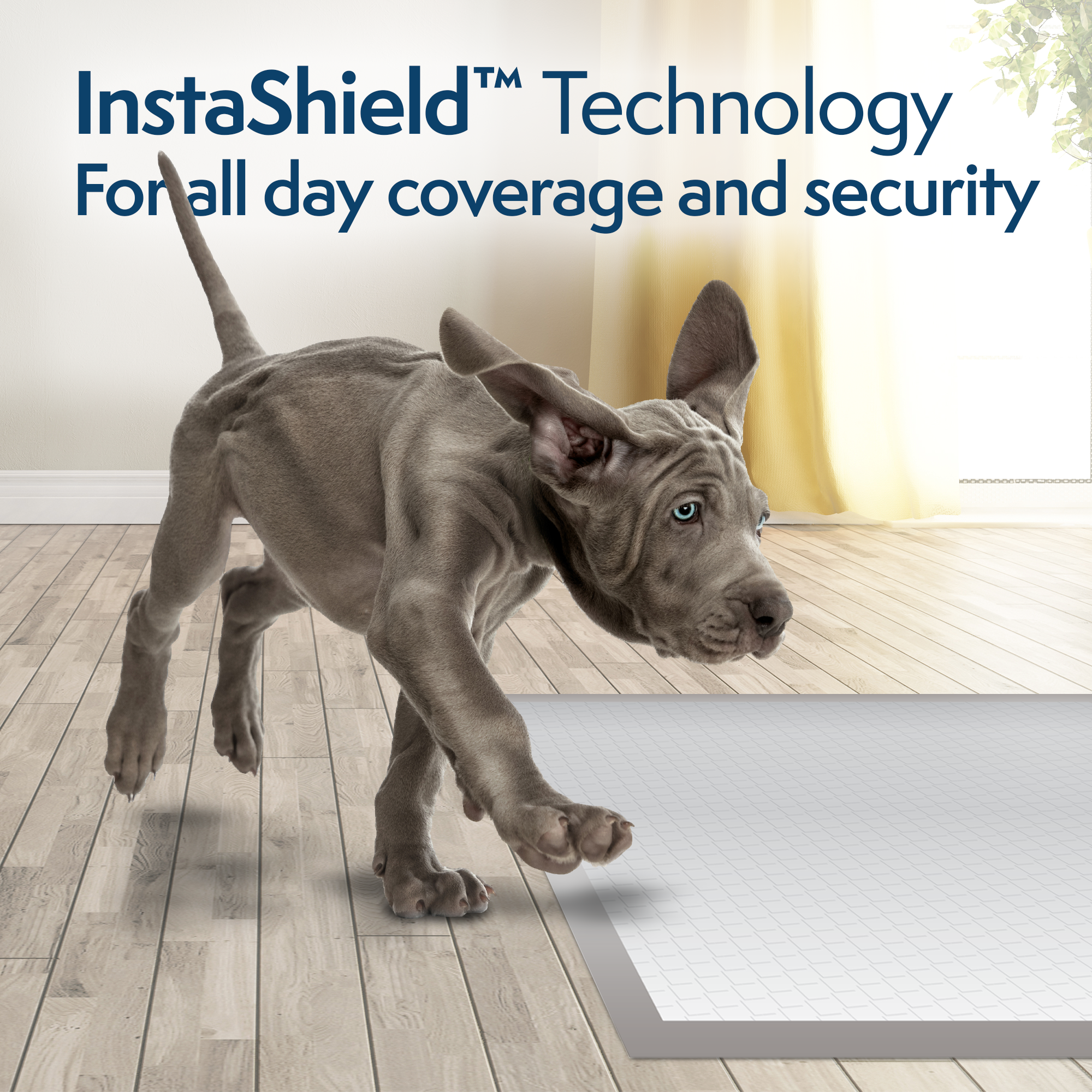 Simple Solution Disposable Pads All Day traversina cani assorbente