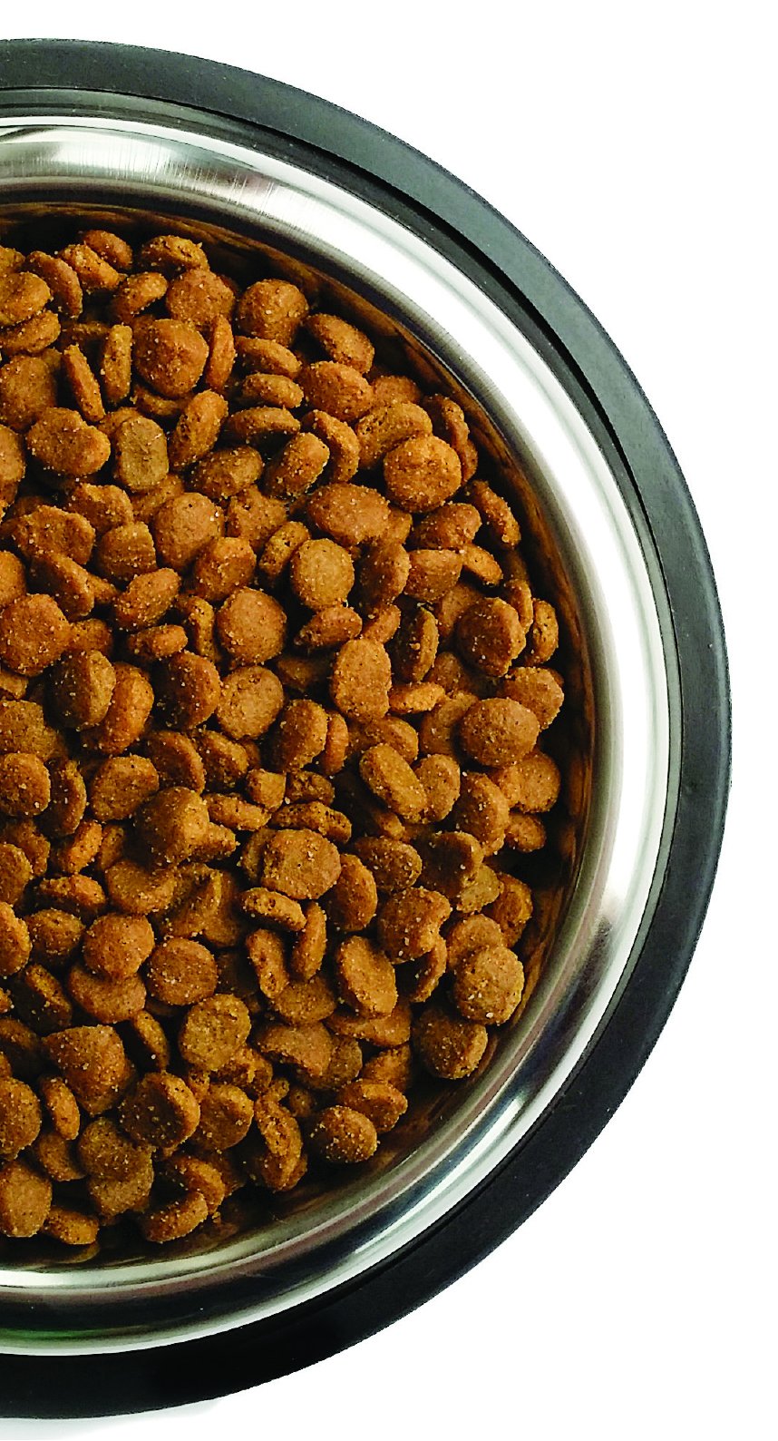 Farmina Vet Life Diabetic Crocchette Gatto 400 g
