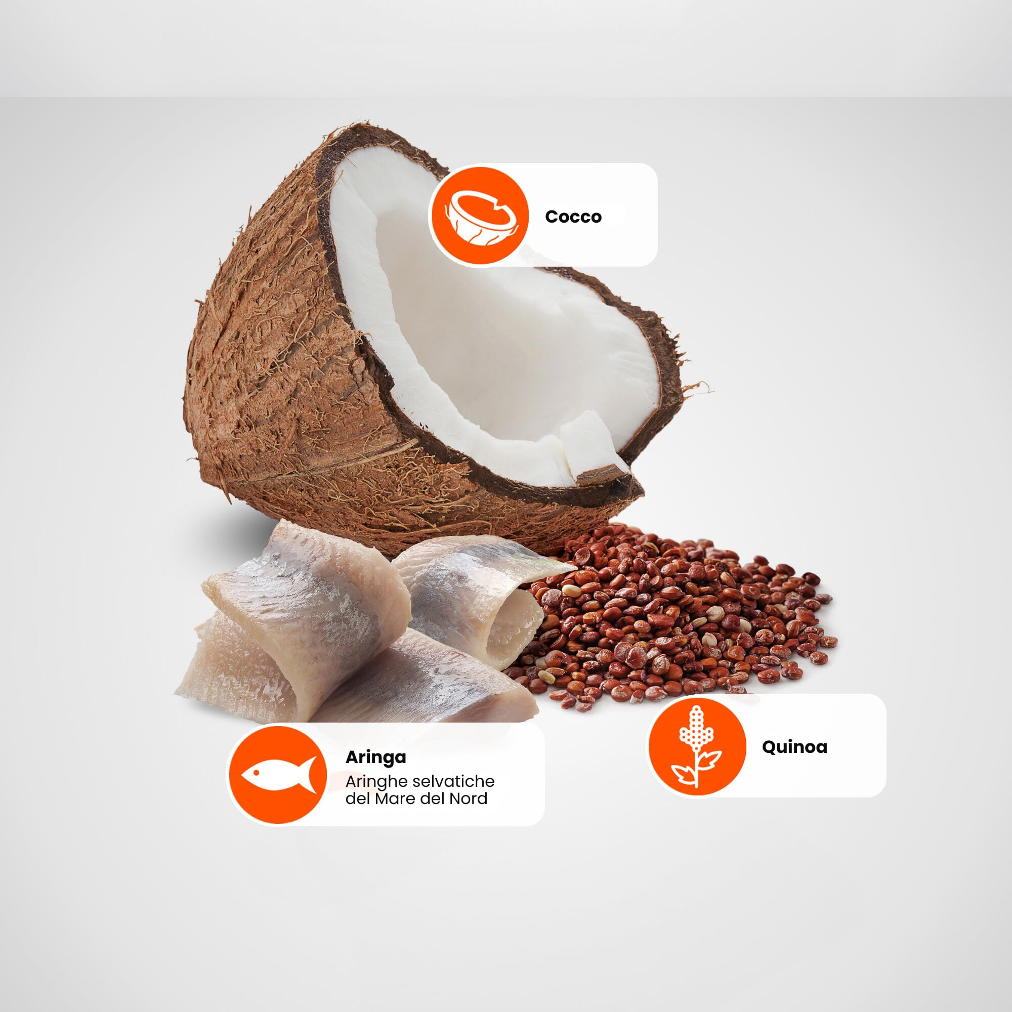 Farmina N&D Quinoa crocchette cane aringa cocco mini