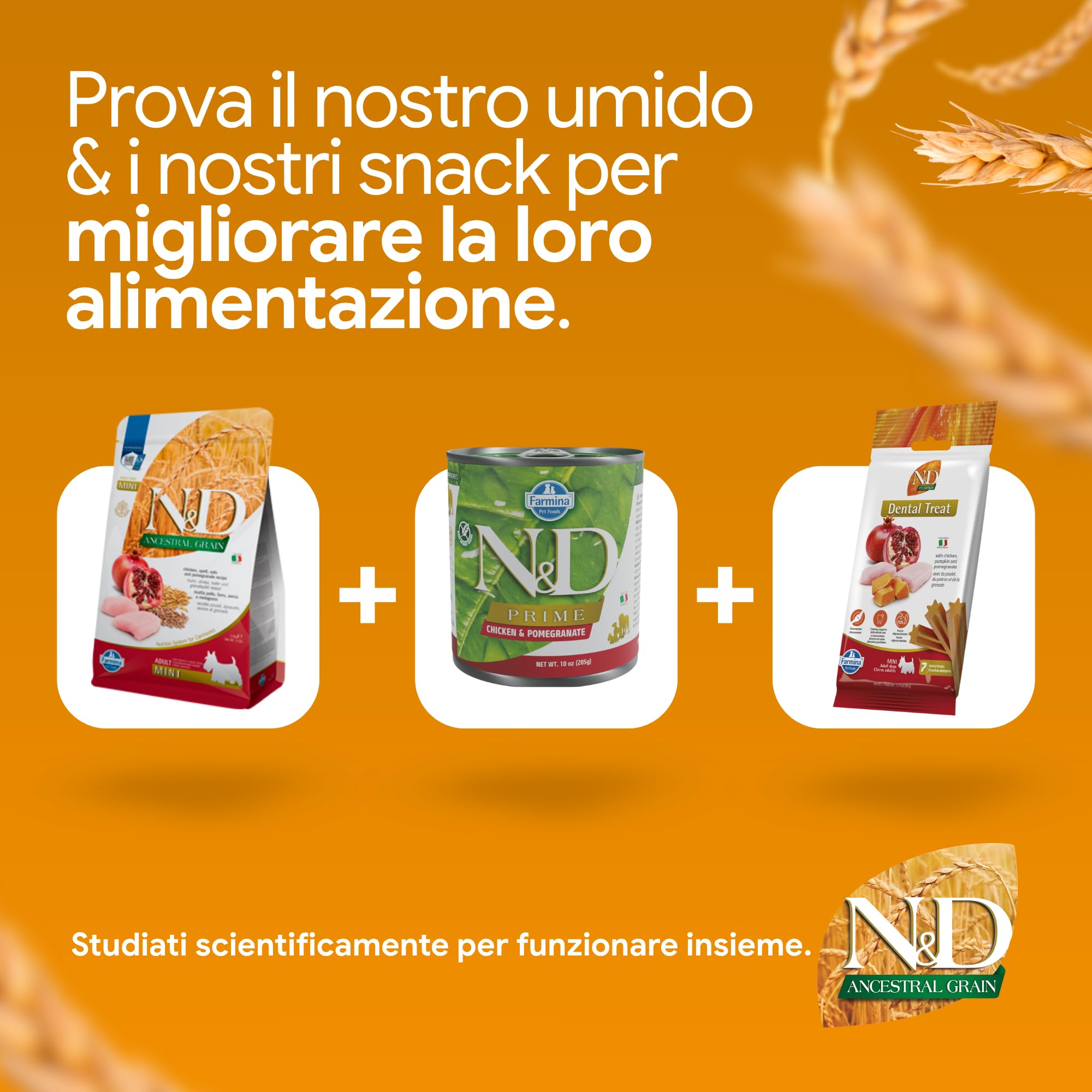 Farmina N&D Ancestral Grain Pollo Melograno crocchette cane mini 7 kg
