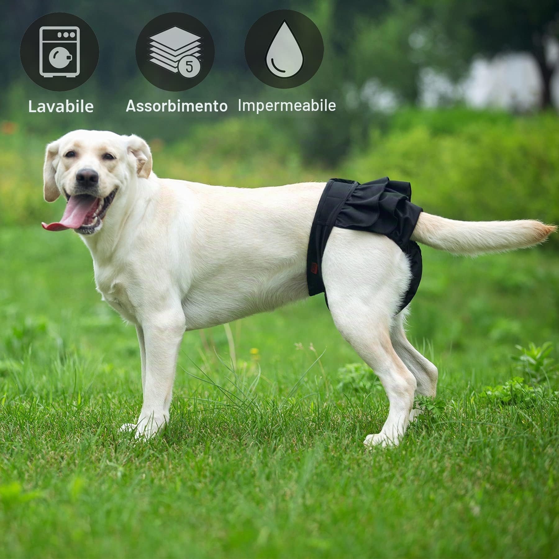 Bepetmia Pannolini lavabili per cani mutandine rosa M 40-50 cm