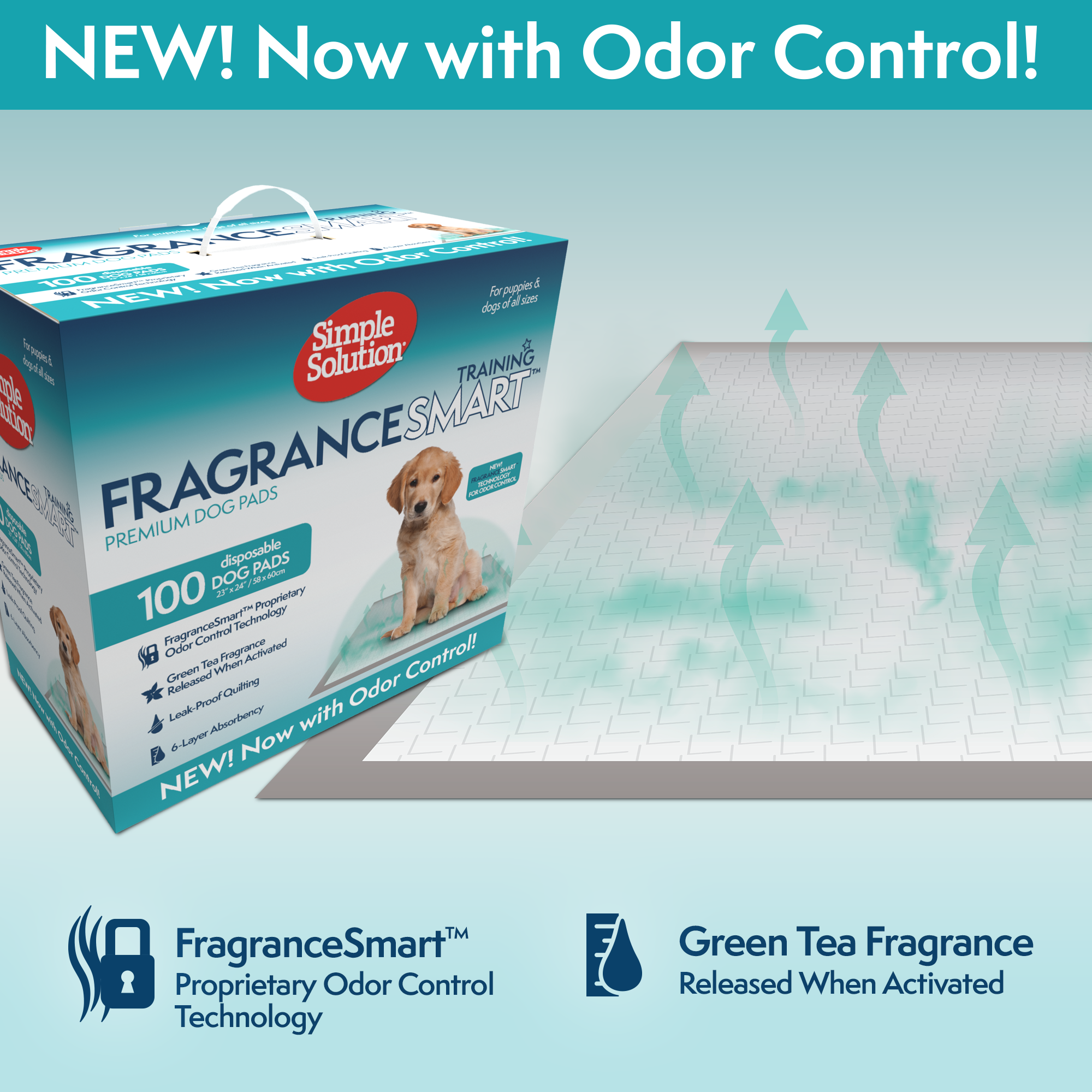 Simple Solution Disposable Pads All Day traversina cani assorbente