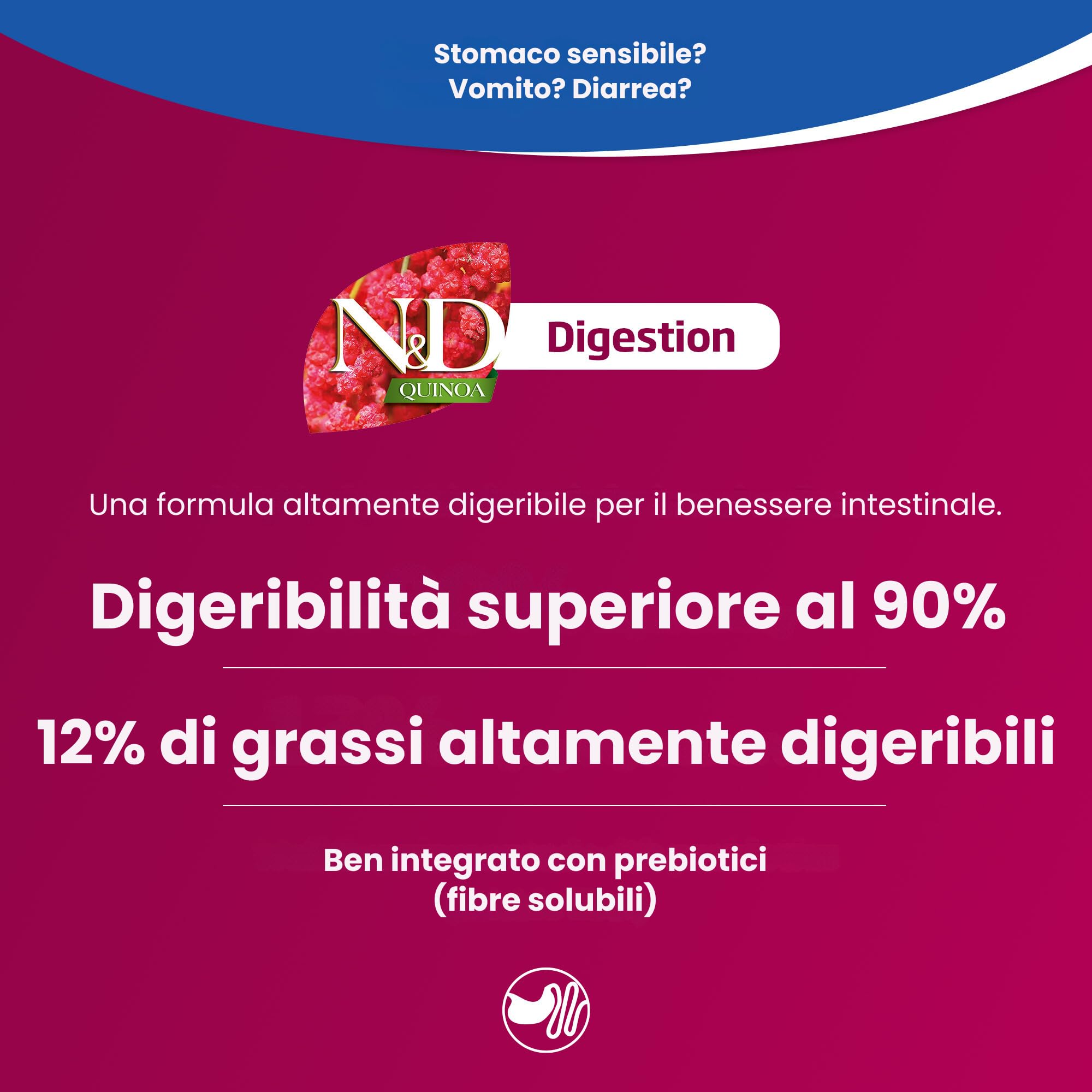 Farmina N&D Quinoa Digestion umido cane mini 140g