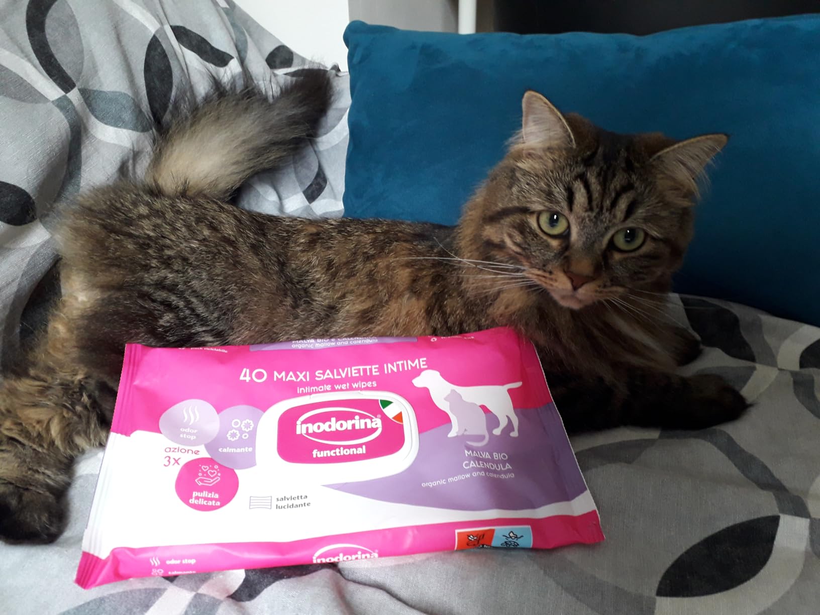 Inodorina Salviette Cuccioli Eufrasia Miele 480pz