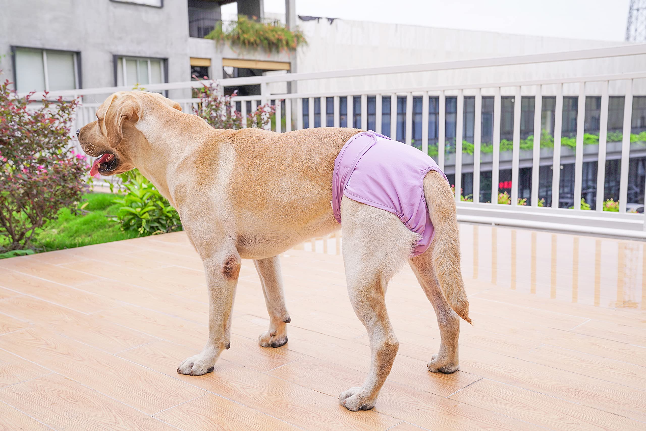 Bepetmia Pannolini lavabili cani femmine taglia S nero