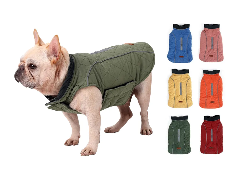 Bepetmia Giubbotto Invernale Cane Verde S Torace 40-52cm